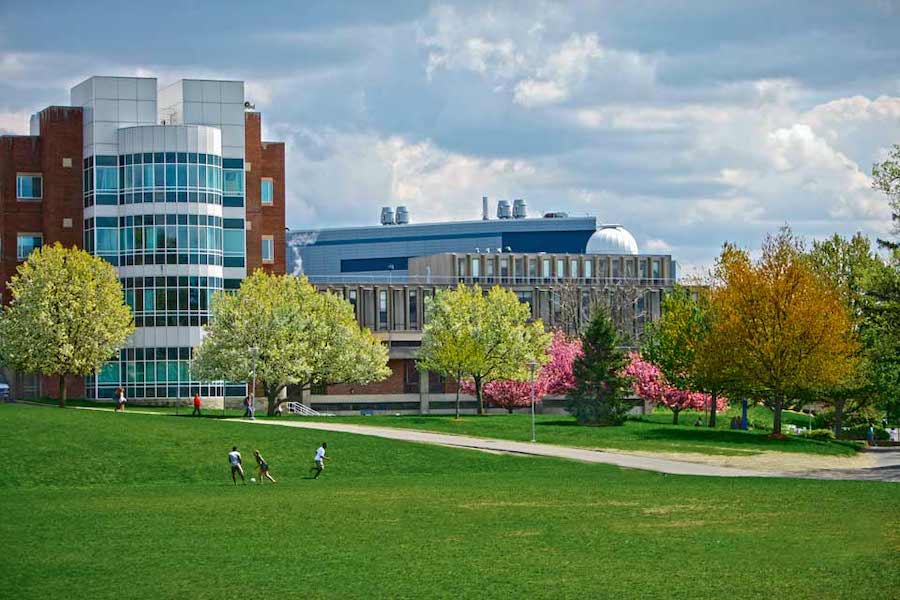 Brandeis University Guide - Ivy Scholars