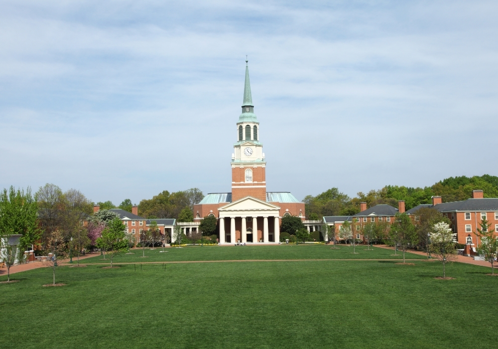 wake forest university essays