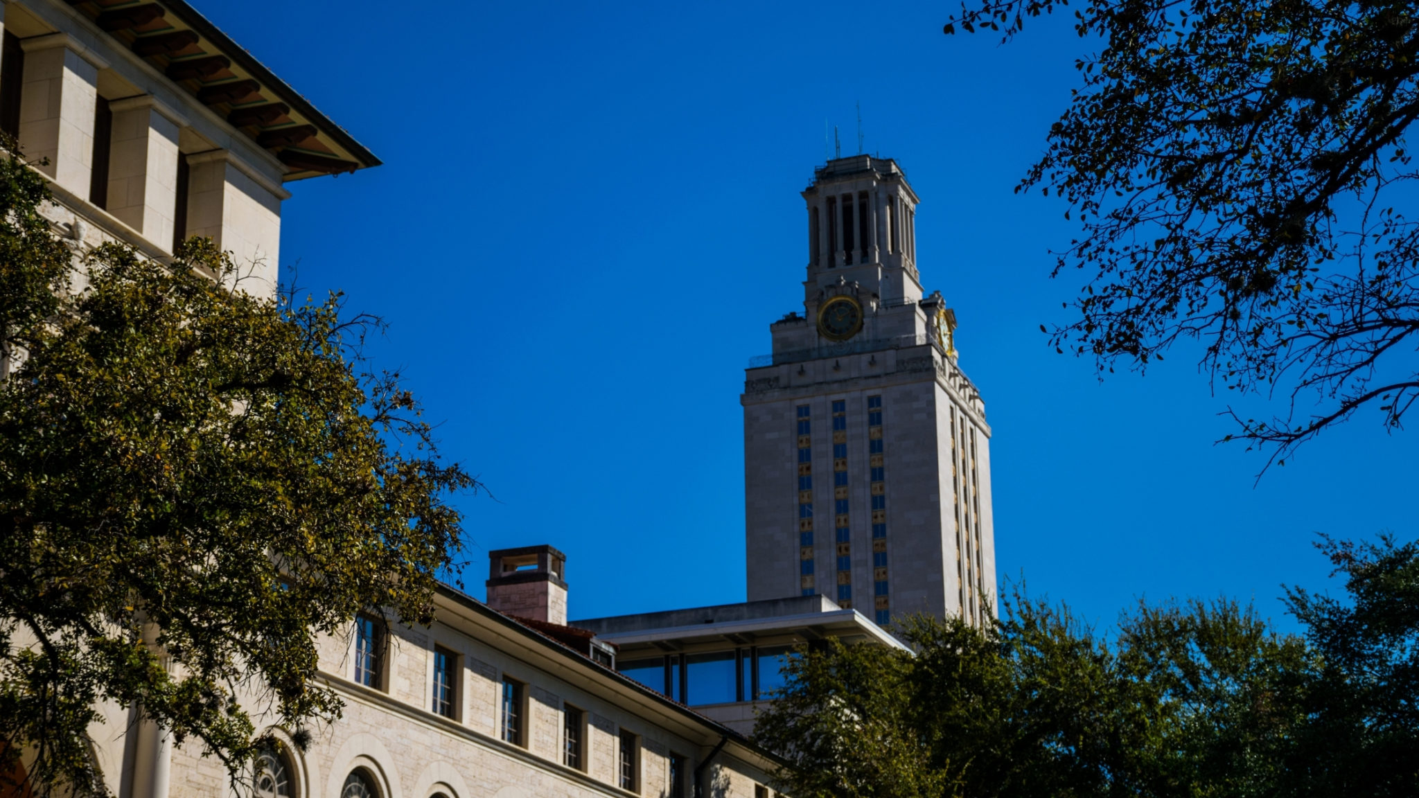 exploring-ut-austin-s-honors-programs-ivy-scholars